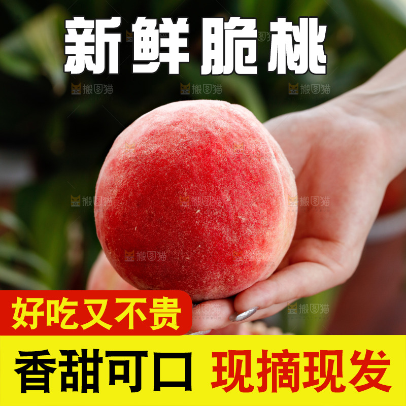 手里拿着苹果桃