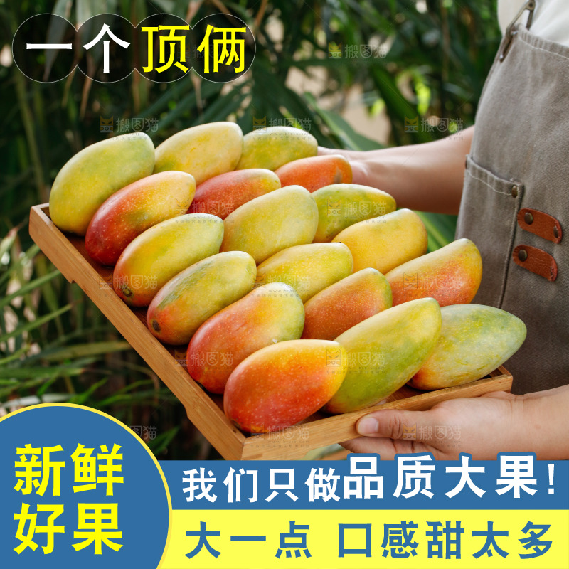 深底上的贵妃芒