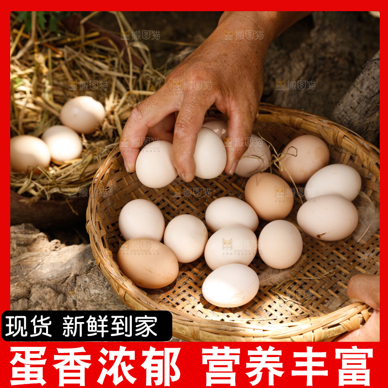 地上放着新鲜土鸡蛋