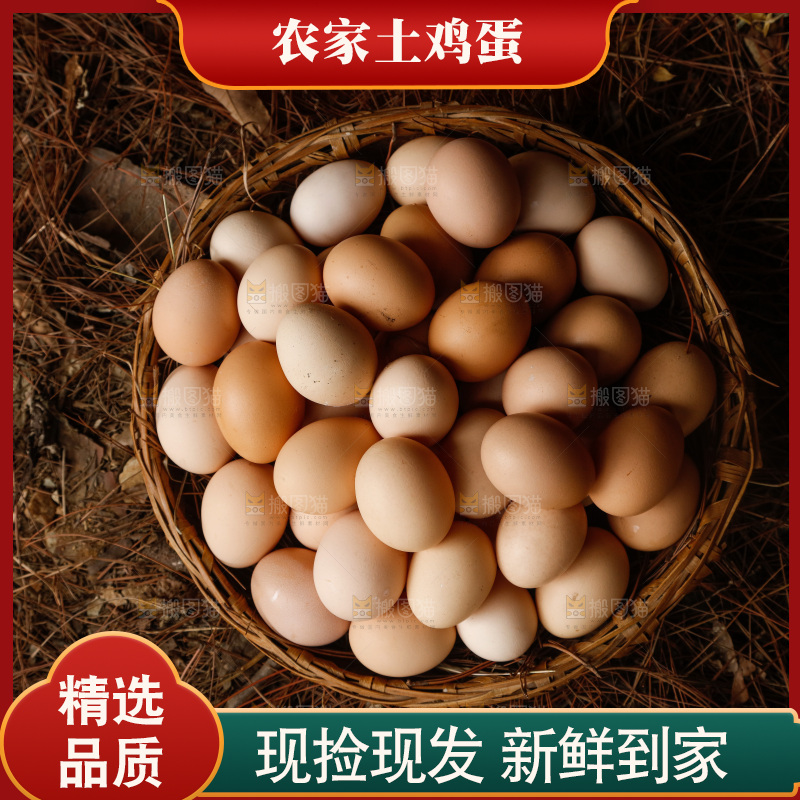 地上放着新鲜土鸡蛋