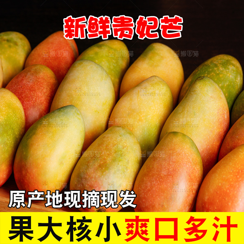 深底上的贵妃芒