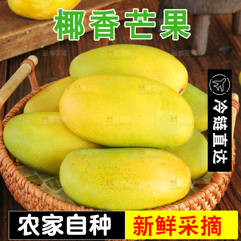 深底上的椰香芒