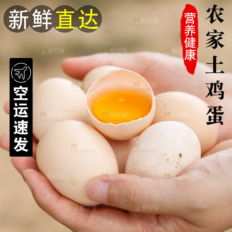 地上放着新鲜土鸡蛋