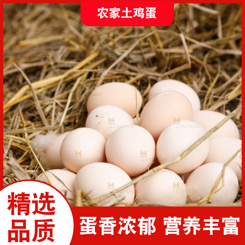 地上放着新鲜土鸡蛋