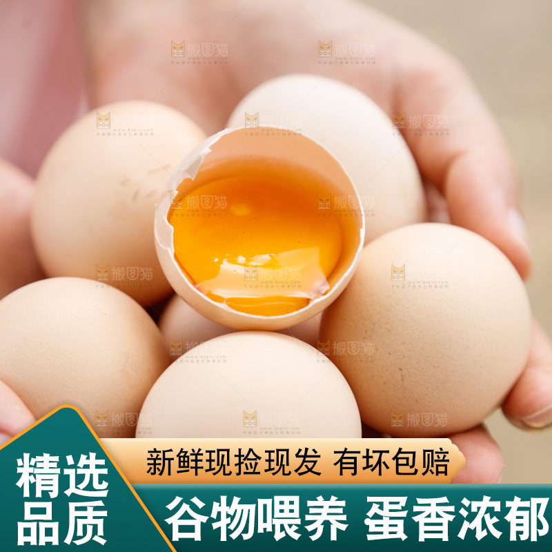 地上放着新鲜土鸡蛋