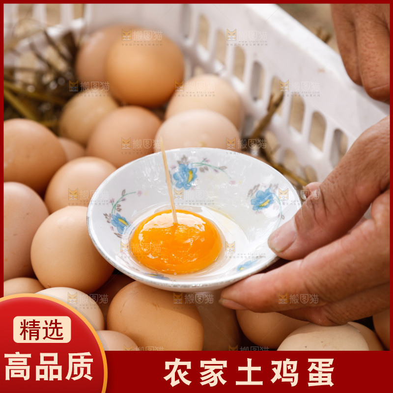 地上放着新鲜土鸡蛋
