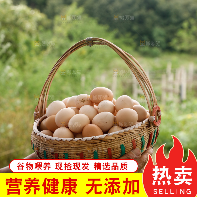 手里拿着土鸡蛋