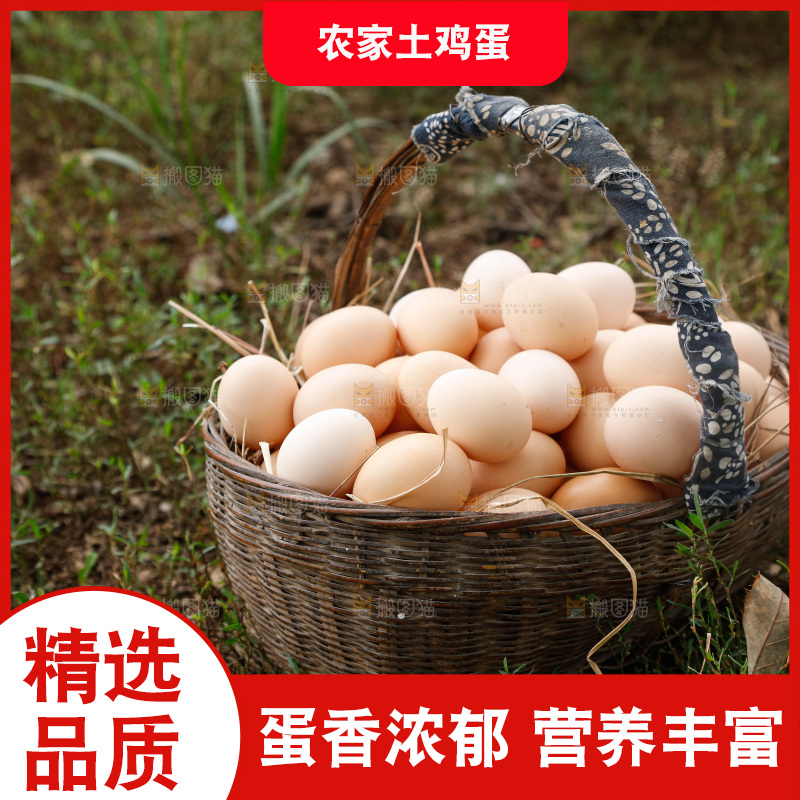 地上放着新鲜土鸡蛋