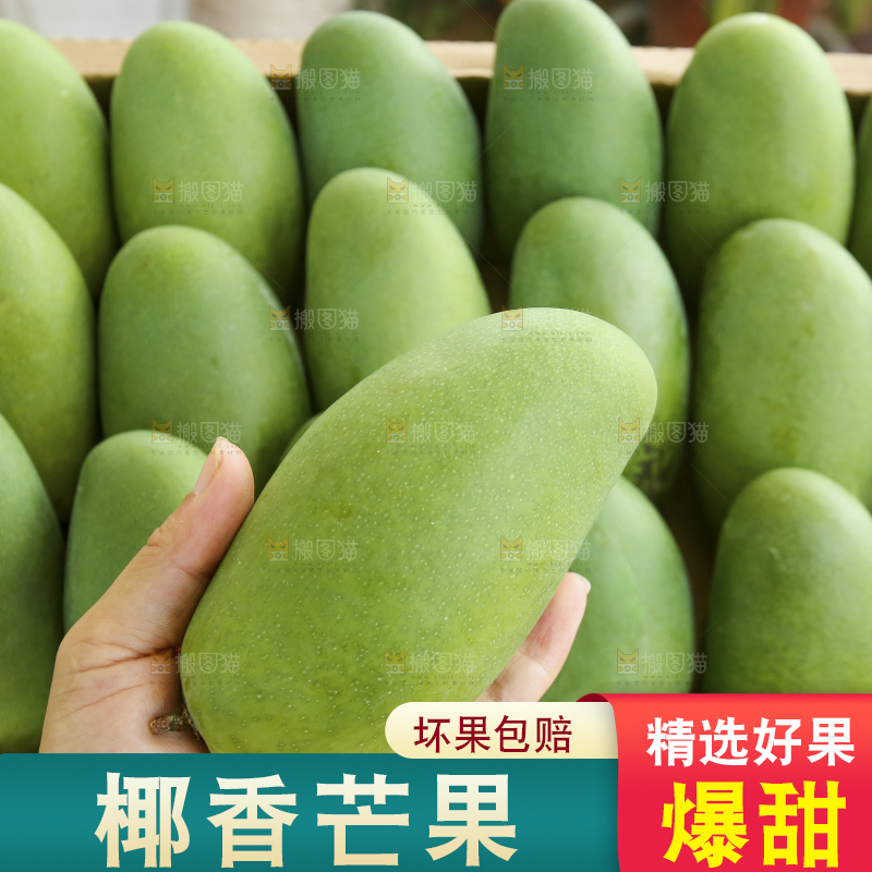 深底上的椰香芒