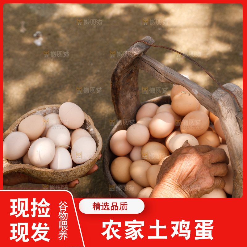 地上放着新鲜土鸡蛋