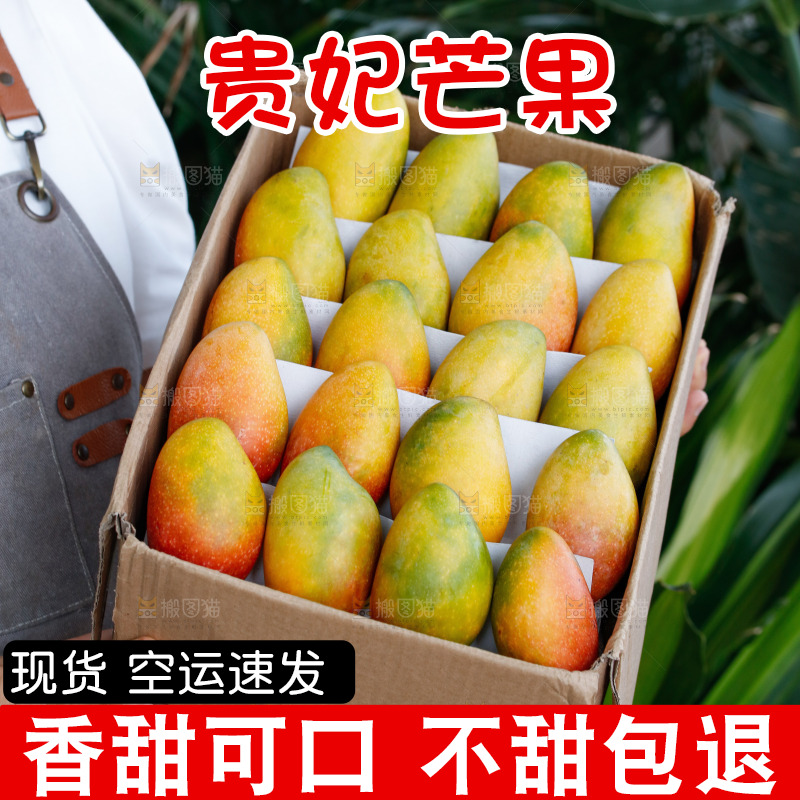 手里拿着贵妃芒