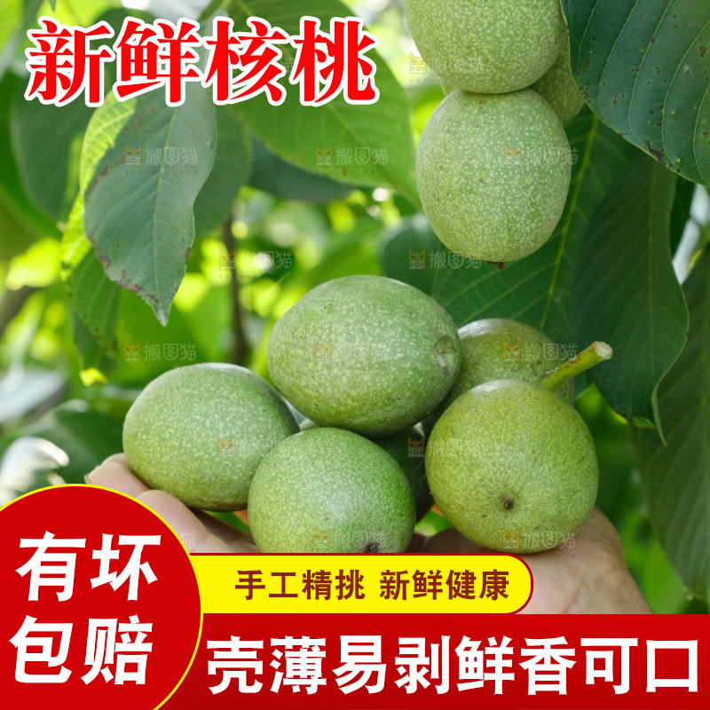 手里拿着青核桃