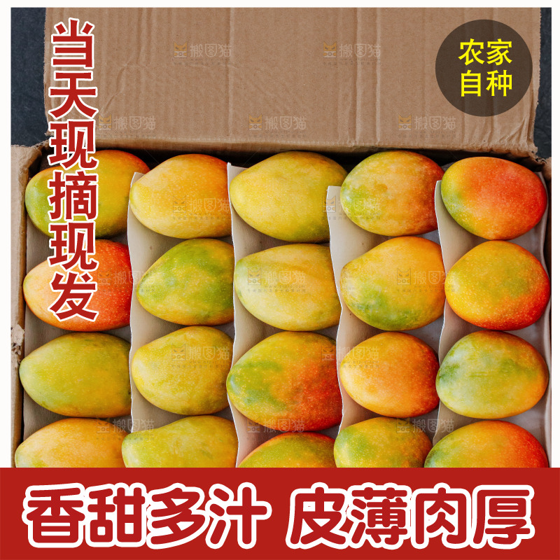 深底上的贵妃芒