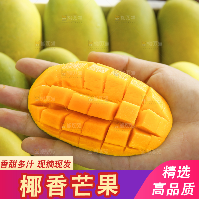 深底上的椰香芒