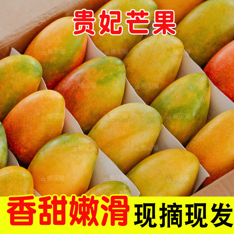 深底上的贵妃芒