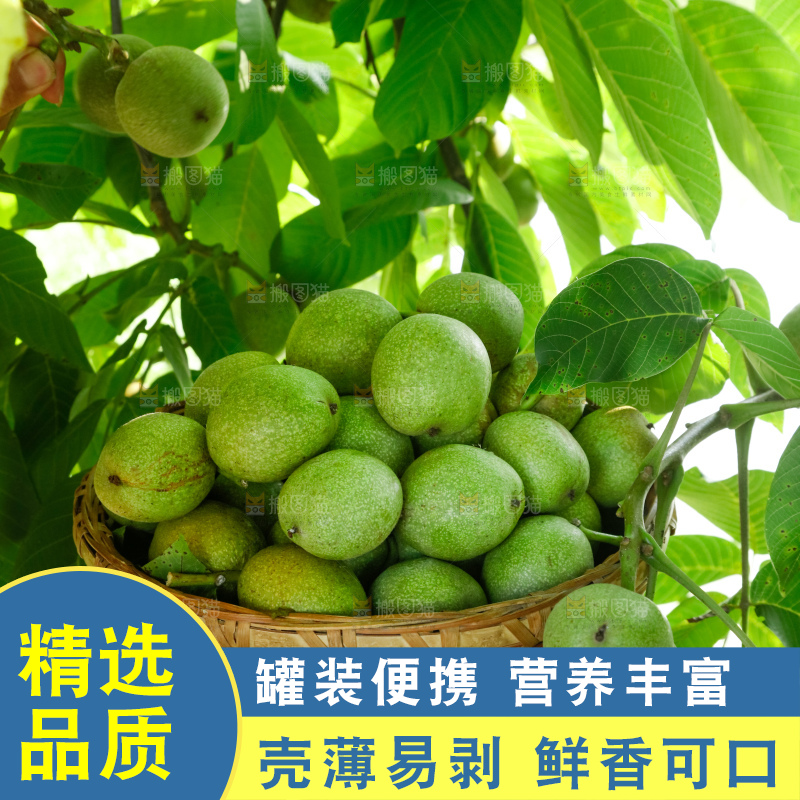 手里拿着青核桃