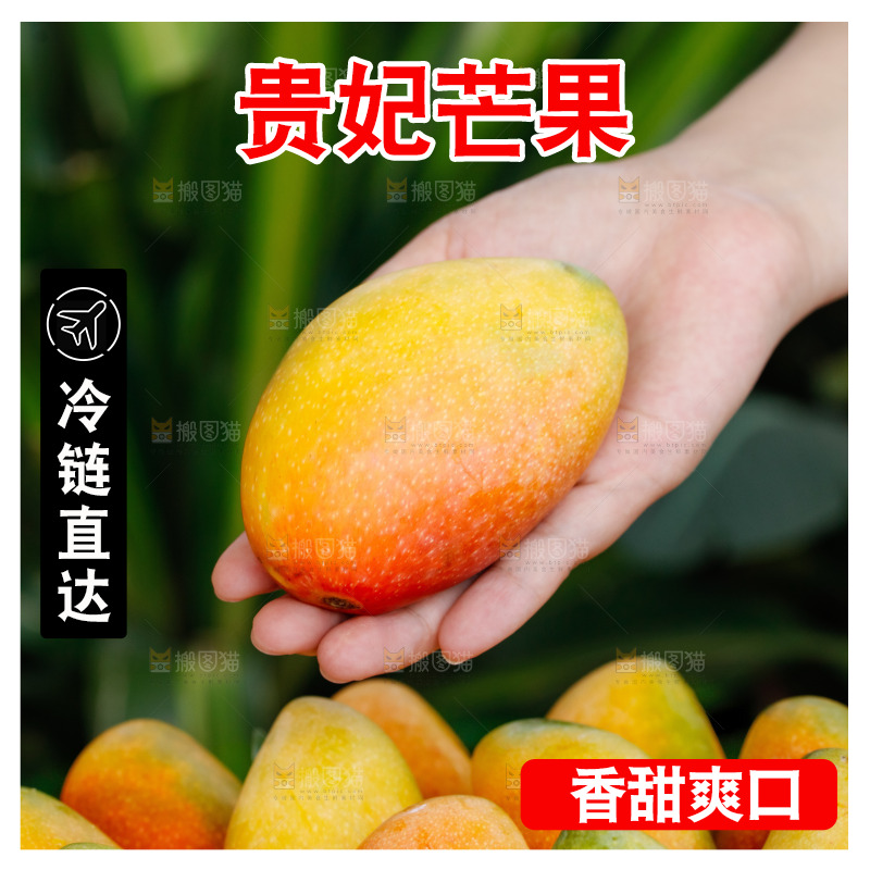 手里拿着贵妃芒