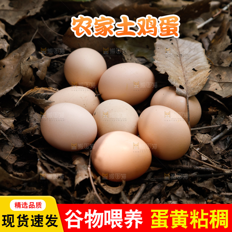 地上放着新鲜土鸡蛋