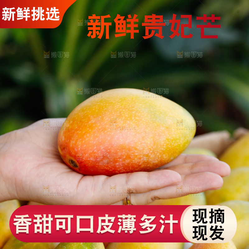 手里拿着贵妃芒