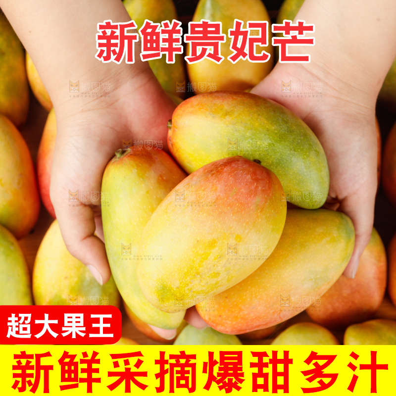 深底上的贵妃芒