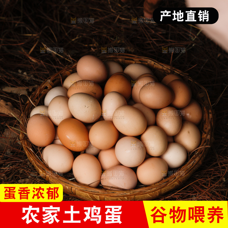 地上放着新鲜土鸡蛋