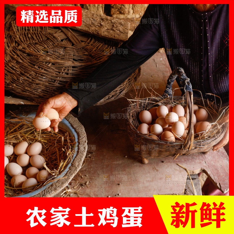 地上放着新鲜土鸡蛋
