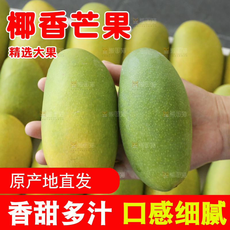 深底上的椰香芒