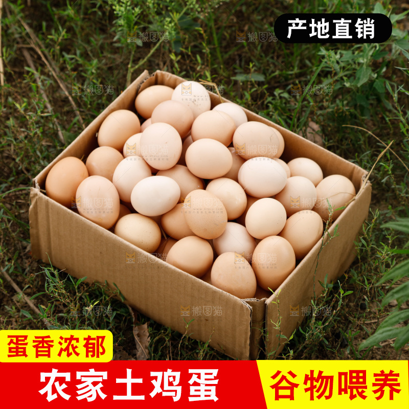地上放着新鲜土鸡蛋