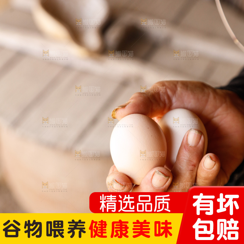地上放着新鲜土鸡蛋