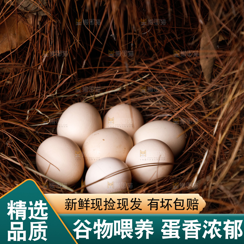 地上放着新鲜土鸡蛋