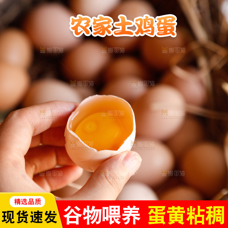 地上放着新鲜土鸡蛋