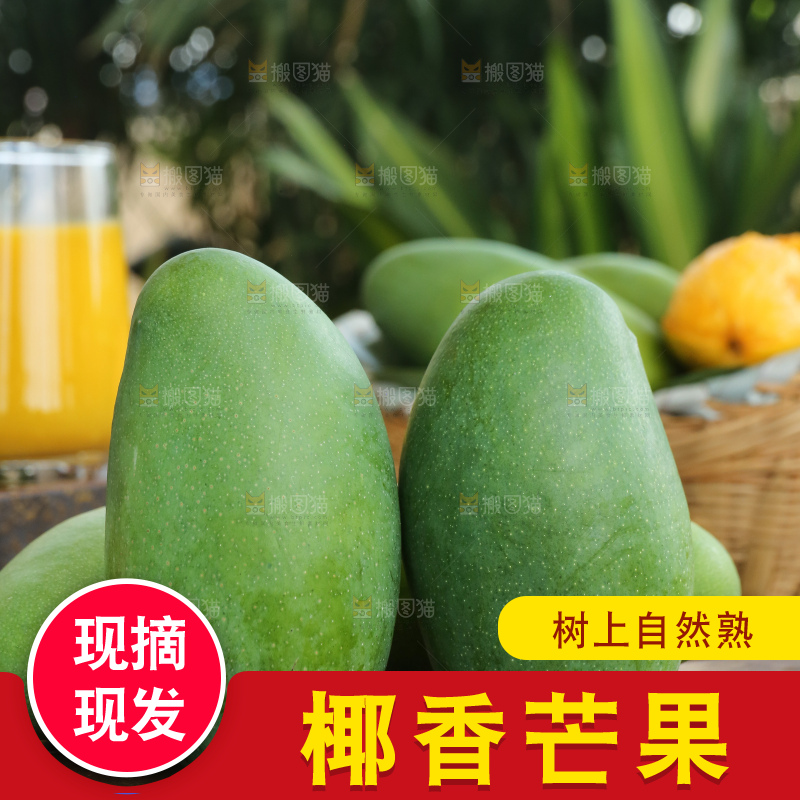 深底上的椰香芒