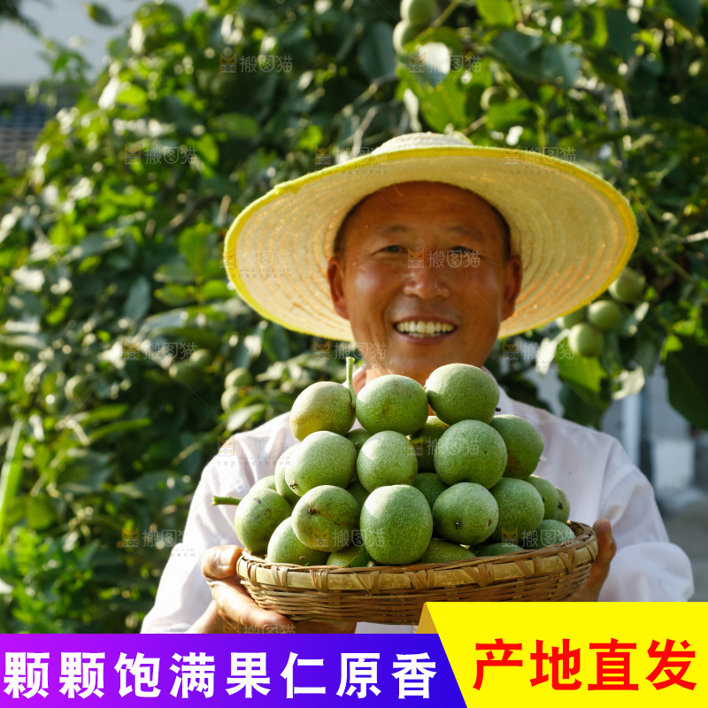 手里拿着青核桃