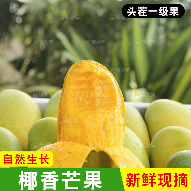 深底上的椰香芒