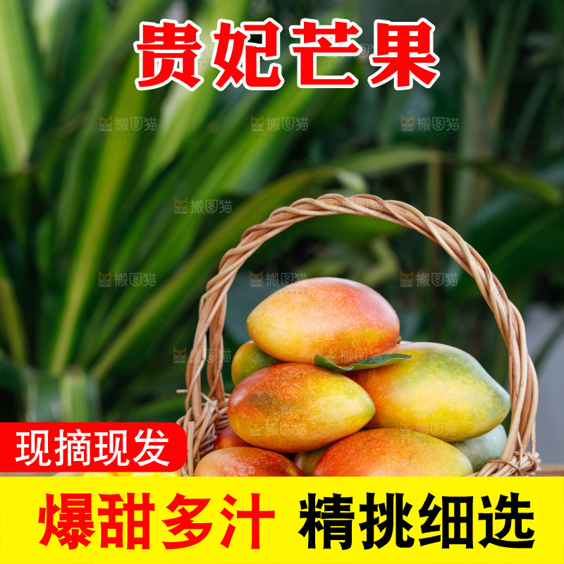 深底上的贵妃芒