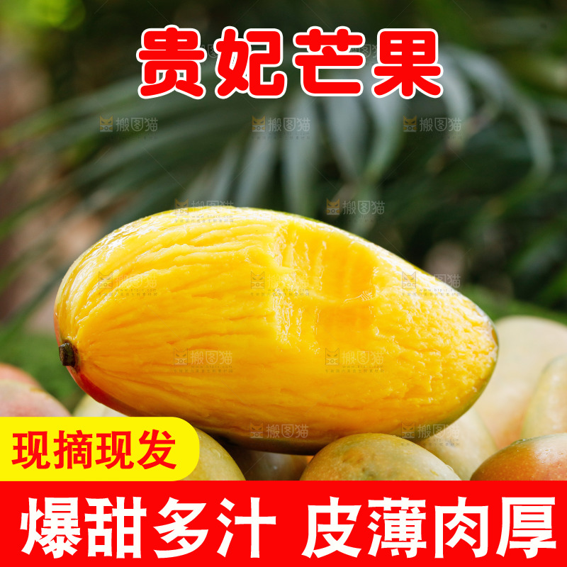 深底上的贵妃芒