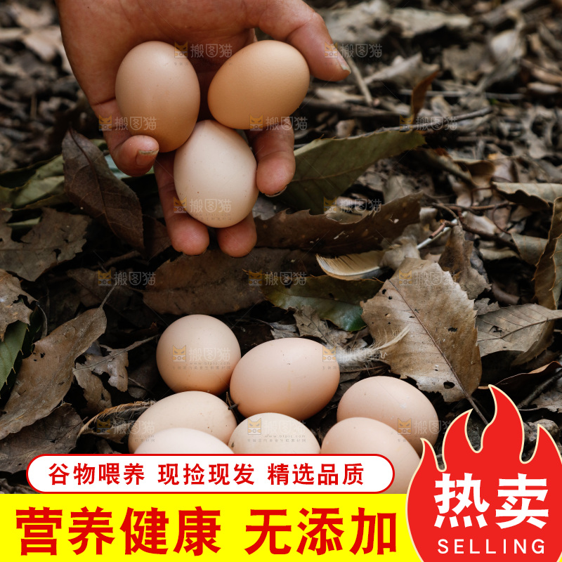 手里拿着土鸡蛋