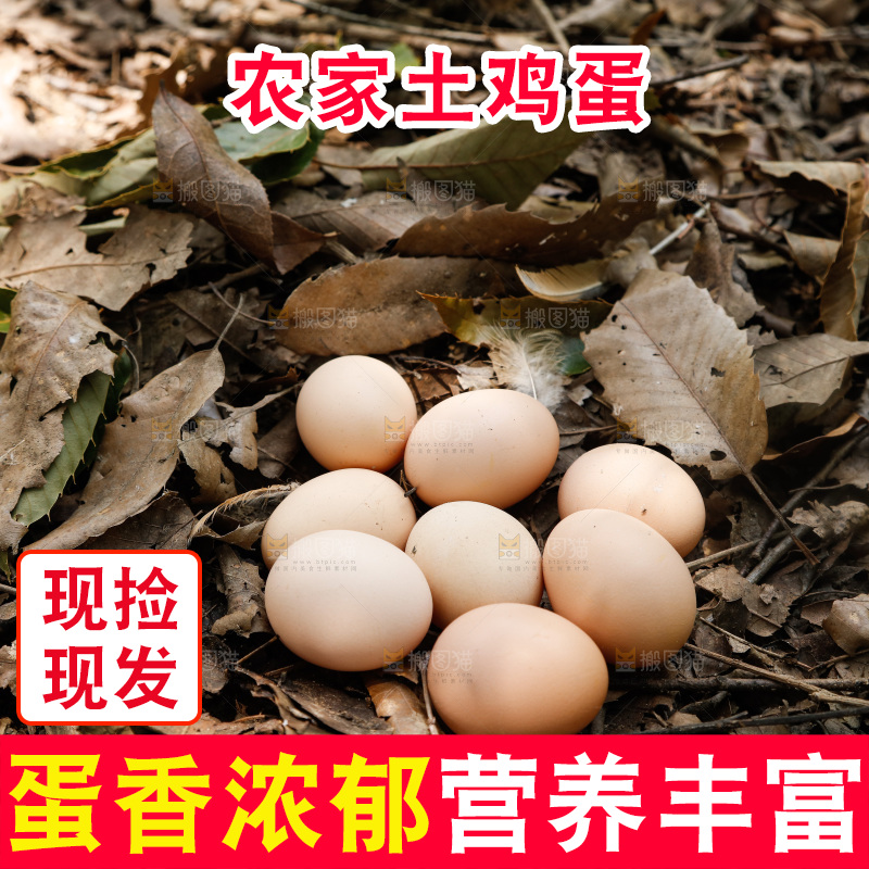 地上放着新鲜土鸡蛋