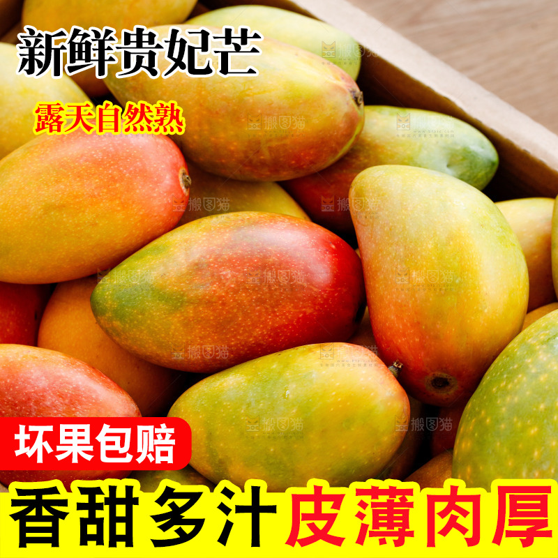 深底上的贵妃芒