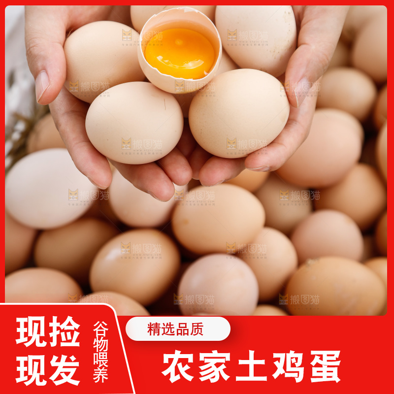 地上放着新鲜土鸡蛋