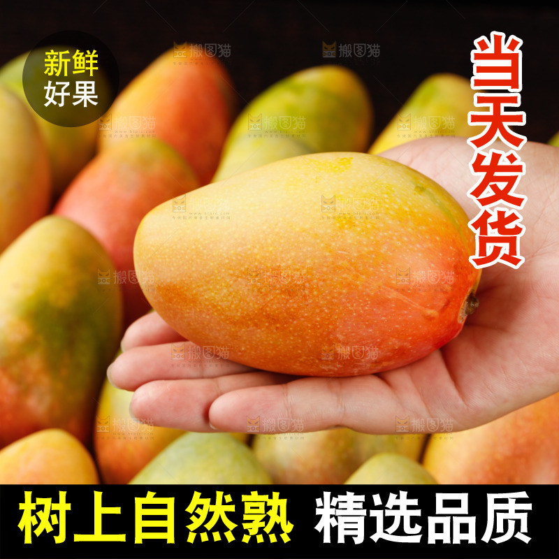 深底上的贵妃芒