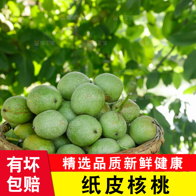 手里拿着青核桃