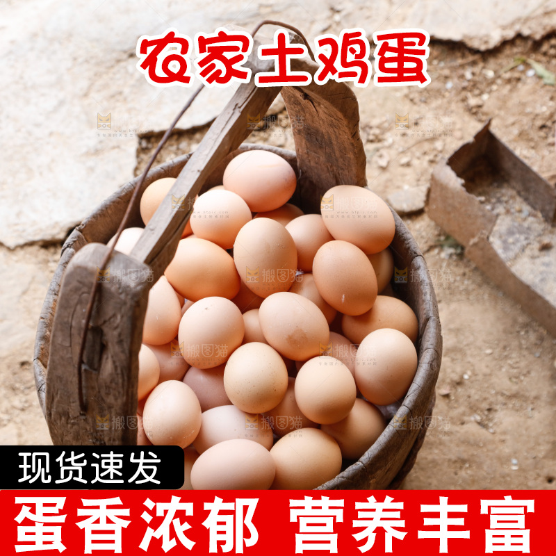 地上放着新鲜土鸡蛋
