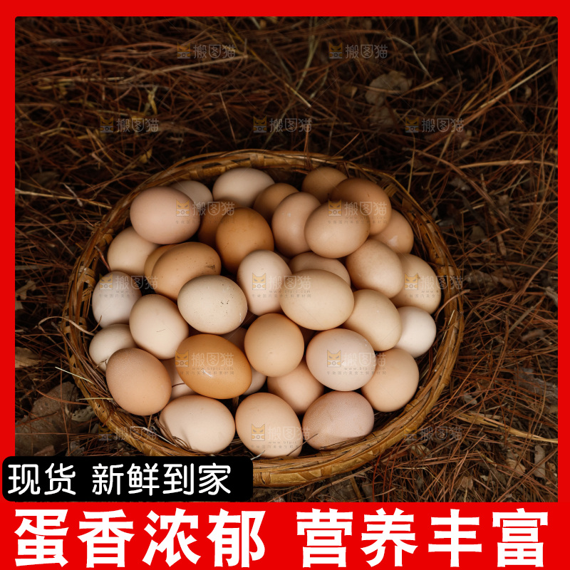 地上放着新鲜土鸡蛋