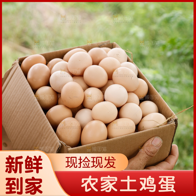 手里拿着土鸡蛋