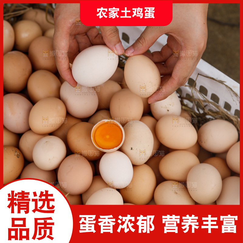 地上放着新鲜土鸡蛋
