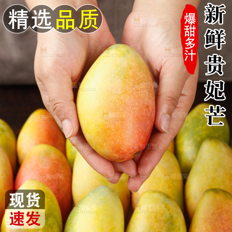 深底上的贵妃芒