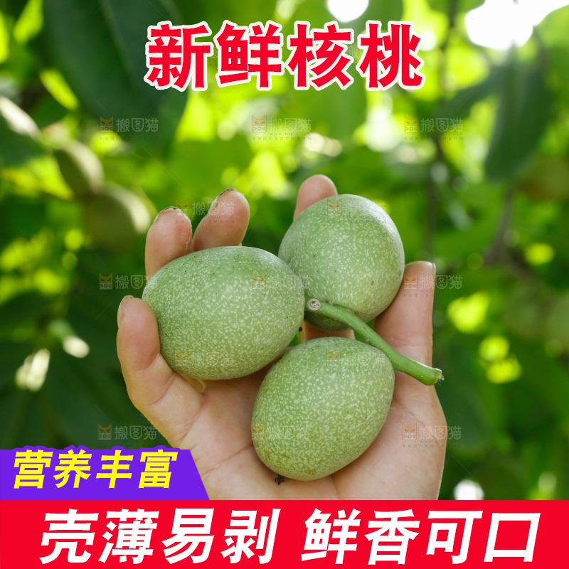 手里拿着青核桃