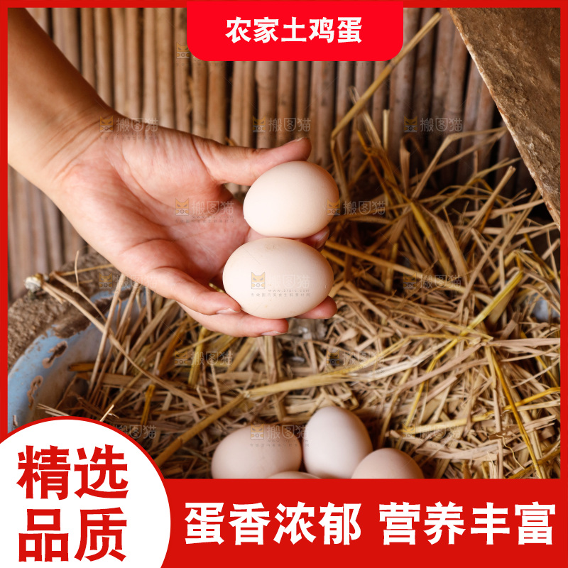 地上放着新鲜土鸡蛋