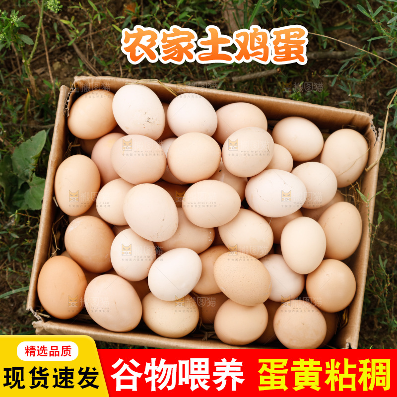地上放着新鲜土鸡蛋